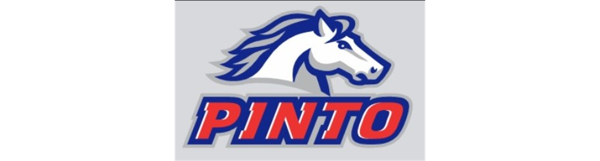 Pinto Standings and Schedule