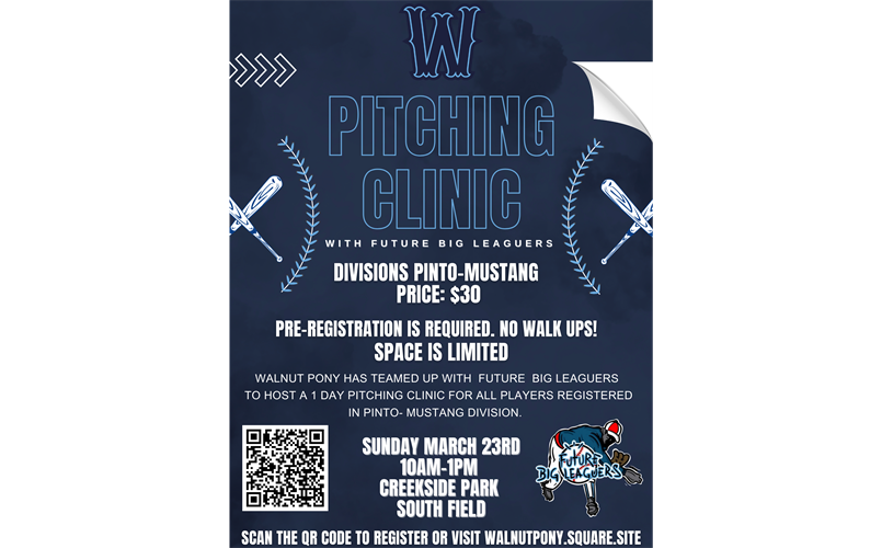 Calling all Pinto and Mustang Pitchers!