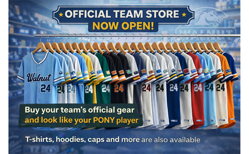 Click to Visit Store