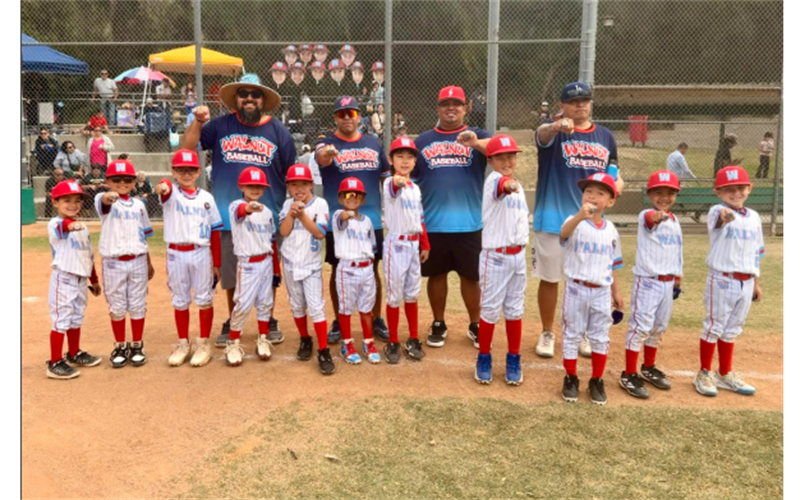 Walnut Pinto Division Champions - LMU Lions